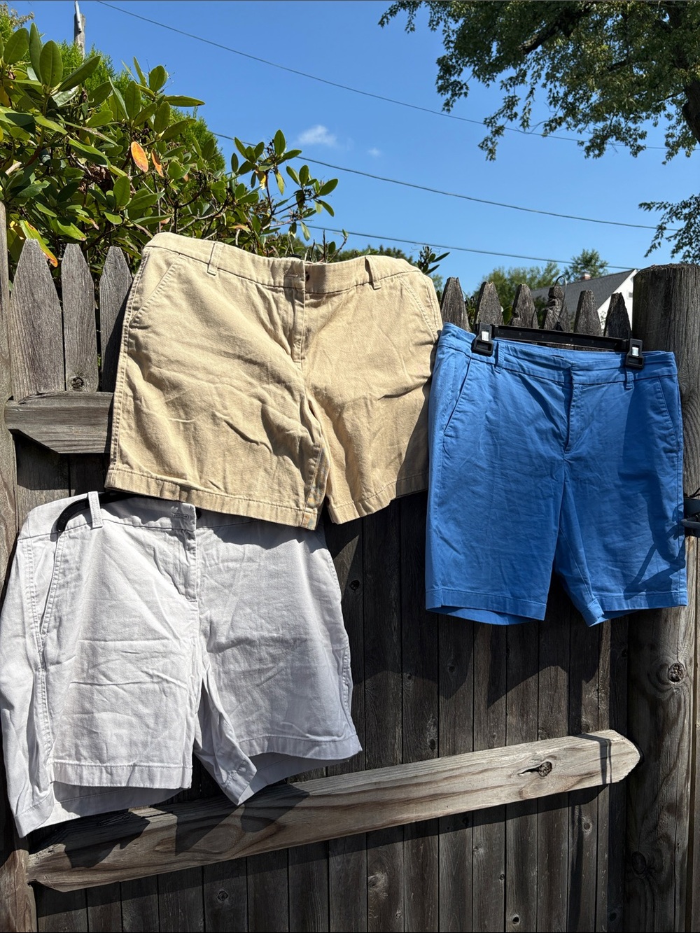 J. Crew size 14 cotton shorts BUNDLE!!